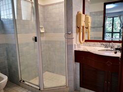 Cavenagh Lodge (D9), Apartment #408405291